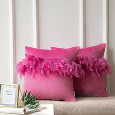 two pink pillows sitting on top of a couch next to a framed photo and an air plant