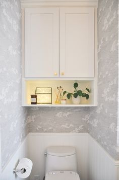 a white toilet sitting in a bathroom next to a wall mounted shelf with plants on it