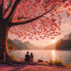 two people sitting on a dock under a tree with pink flowers in front of the water