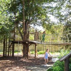 Telephone Pole Tree House, Tree House Bridge, Tree Deck Ideas, Backyard Fort, Tree Deck, Backyard Playset, Rope Bridge