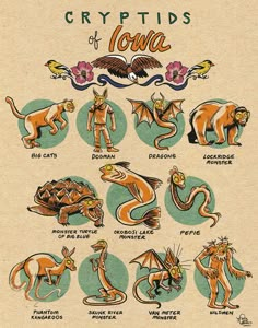 an old poster with some different types of cats