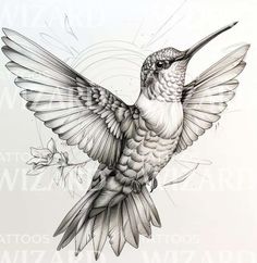 a drawing of a hummingbird in flight with its wings spread out and it's beak