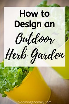 an outdoor herb garden with text overlay that reads how to design an outdoor herb garden