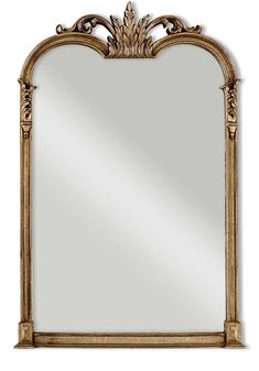 an ornate gold framed mirror on a white background with the reflection of it's own image