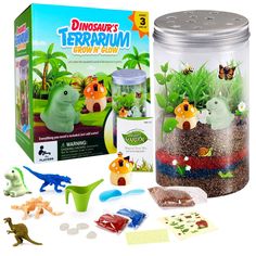 kids terrarium - Google Search Happy Everything, Wonders Of The World, Terrarium, Google Search, Let It Be