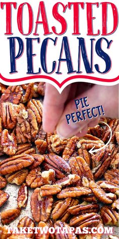 the cover of toasted pecans