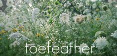 the words together are surrounded by wildflowers and other plants in an open field