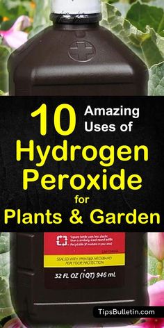 a bottle of hydrogen peroxide for plants and gardens with the title 10 amazing uses of hydrogen peroxide for plants and garden