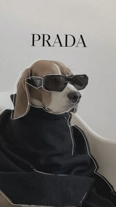 a dog wearing sunglasses sitting on top of a white chair next to a sign that says prada