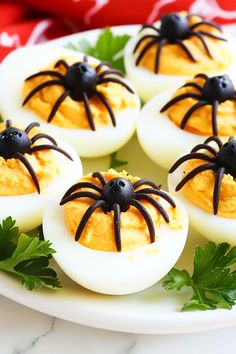 devil's eggs decorated with black spider decorations on a white plate and garnished with parsley