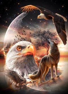 an eagle and a wolf are facing each other in front of a full moon sky