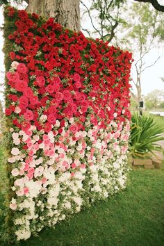 flowers are growing on the side of a tree in front of some grass and trees