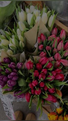 a bouquet of tulips and other flowers on display