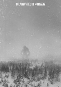 a man riding skis down a snow covered slope next to trees on a foggy day