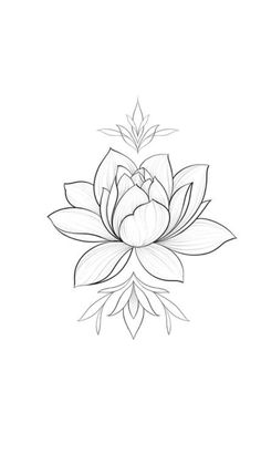 a black and white drawing of a lotus flower