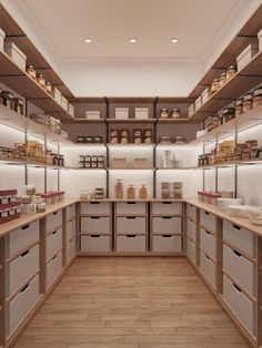 a large kitchen with lots of shelves and drawers