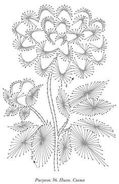 a drawing of a dandelion plant