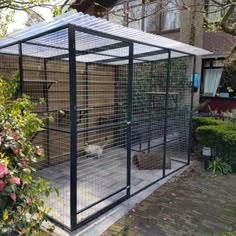 a small cage with two cats in it on the side of a house next to a tree