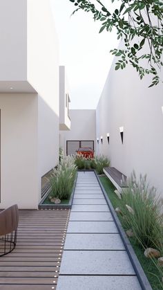 an empty walkway between two buildings with plants on each side and benches in the middle