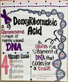 a poster with some type of information on the side of it that says deoxtroinucic acid