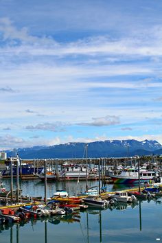 many boats are docked in the water at a marina with mountains in the back ground