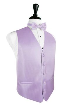 a man wearing a purple vest and bow tie