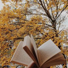 an open book sitting on top of a wooden table next to a tree with yellow leaves