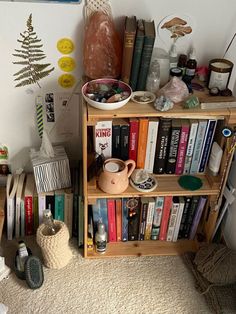 a bookshelf filled with lots of books next to a potted plant on top of a rug