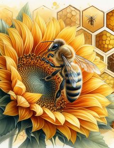 a painting of a bee on a sunflower with honeycombs in the background