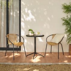 two chairs sitting next to each other near a table and potted plant in front of a window