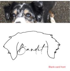 a black and white dog standing next to a sign with the word bandit written on it