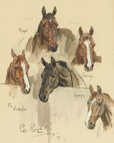 three horses are shown in this drawing