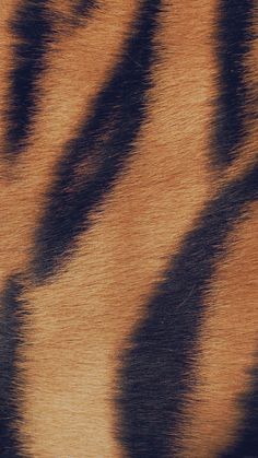 an animal's fur pattern is shown in brown and black