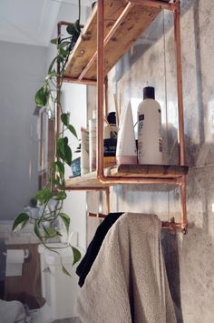 a shelf with some bottles on it next to a potted plant and toiletries