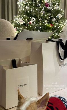 a small dog sitting on the floor in front of some shopping bags and a christmas tree