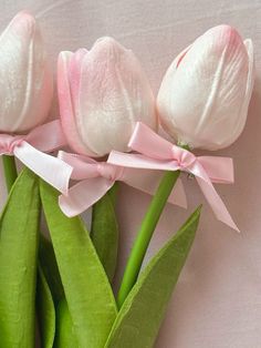 three pink and white tulips with ribbon tied around them on top of green stems