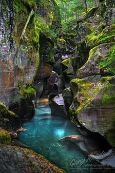 a river running through a lush green forest filled with lots of rocks and mossy trees