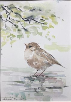 a watercolor painting of a bird sitting on the edge of a body of water