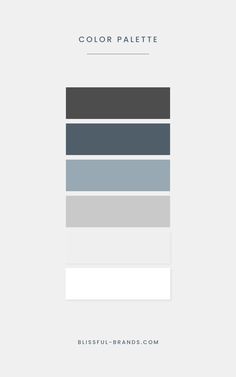 the color palette is shown in shades of blue, gray and white with text below