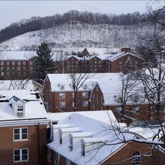 snow covered rooftops and buildings on a hill in the distance with trees around them