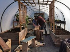 two men working in a greenhouse filled with plants and wooden crates on the floor,