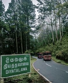 two buses driving down the road next to a forest