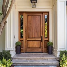 a front door with two planters on the steps and a light fixture above it