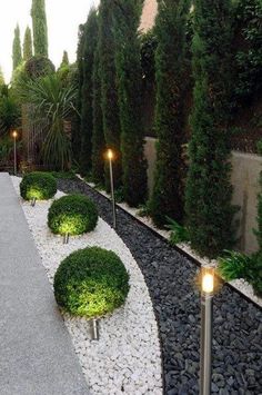 an outdoor garden with lots of plants and lights