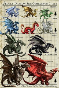 an image of different types of dragon on a cell phone with the caption's name