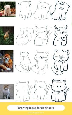 the instructions to draw cats for beginners