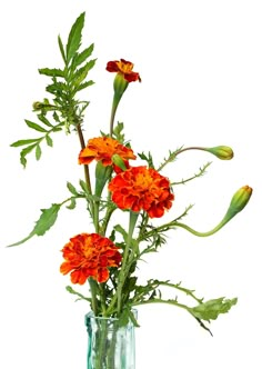 a vase filled with orange flowers on top of a white table next to a green plant