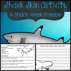 a shark writing activity for kids