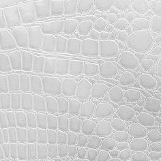 the texture of white crocodile skin is very detailed and looks like it could be used as a background or wallpaper