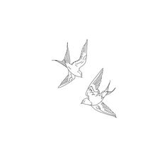 two birds flying side by side on a white background with one bird in the air